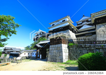 [愛媛縣]晴朗的松山城（主舞台） 106042864