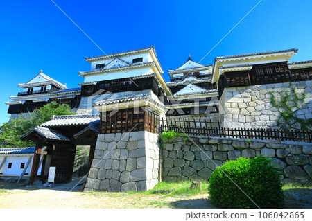 [愛媛縣]晴朗的松山城（主舞台） 106042865