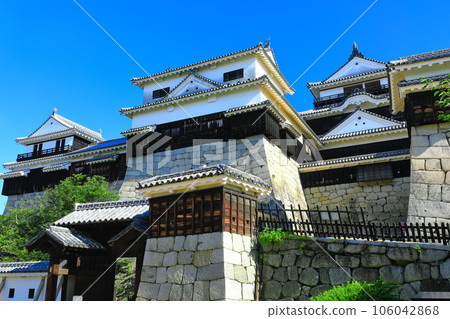 [愛媛縣]晴朗的松山城（主舞台） 106042868