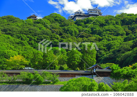 [Ehime Prefecture] Matsuyama Castle seen from Shiroyama Park (Ninomaru Historical Garden and Castle Tower) 106042888