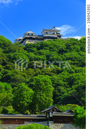 [Ehime Prefecture] Matsuyama Castle seen from Shiroyama Park (Ninomaru Historical Garden and Castle Tower) 106042891