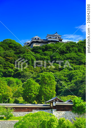 [愛媛縣]從城山公園看到的松山城（二之丸歷史庭園和天守閣） 106042898