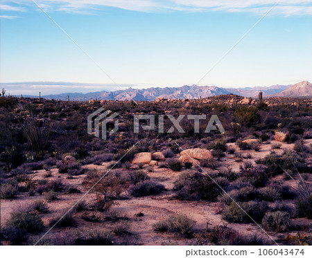 Film Image Sonora Desert Arizona 106043474