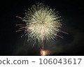夏夜天空煙花 106043617