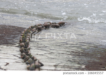 Rusty chains above the seaside harbor in cloudy day 106045557