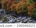 沿山小河的秋葉 106046023