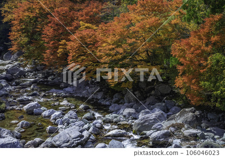 沿山小河的秋葉 106046023