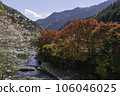 秋天的樹葉和冬天的櫻花沿著山澗 106046025