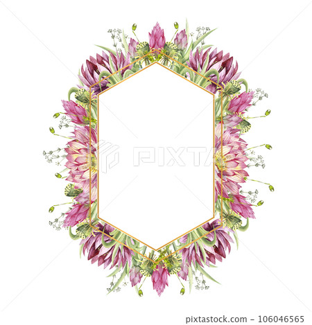 A polygonal frame with flowers of water lilies and wild forest grasses. Watercolor illustration on a white background A polygonal frame with flowers of water lilies and wild forest grasses. Watercolor illustration on a white background 106046565