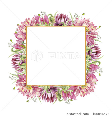 A frame with flowers of water lilies and wild forest grasses. Watercolor illustration on a white background A frame with flowers of water lilies and wild forest grasses. Watercolor illustration on a white background 106046578