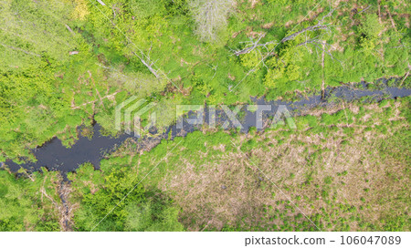 Forest river with dead tree log lying over Forest river with dead tree log lying over 106047089