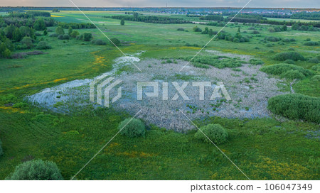 Drone point of view of springtime flooding meadow  106047349
