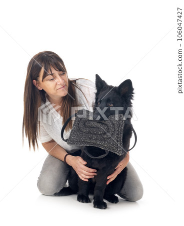 young german shepherd and woman young german shepherd and woman 106047427