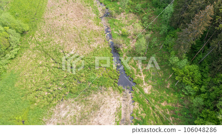 Forest river with dead tree log lying over 106048286