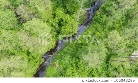 Forest river with dead tree log lying over Forest river with dead tree log lying over 106048289
