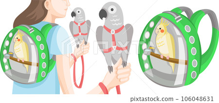 Parrots outdoor walk collection Parrots outdoor walk collection 106048631
