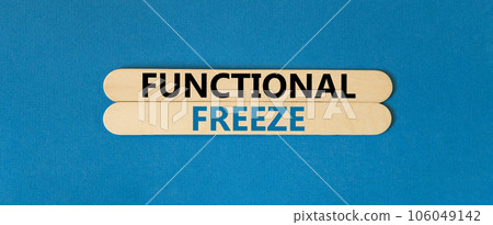 Functional freeze symbol. Concept words Functional freeze on beautiful wooden stick. Beautiful blue table blue background. Business psychology functional freeze concept. Copy space. Functional freeze symbol. Concept words Functional freeze on beautiful wooden stick. Beautiful blue table blue background. Business psychology functional freeze concept. Copy space. 106049142