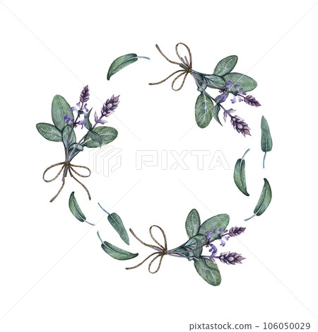 Wreath of leaves and branches of sage. High quality watercolor illustration Wreath of leaves and branches of sage. High quality watercolor illustration 106050029