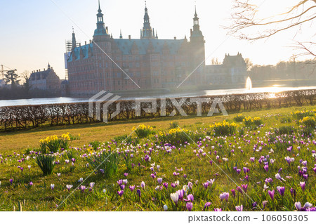 View of Frederiksborg castle in Hillerod, Denmark. Beautiful lake and garden with crocuses and daffodils on a foreground 106050305