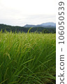 Spreading rural scenery 106050539