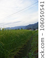 Spreading rural scenery 106050541