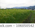 Spreading rural scenery 106050542