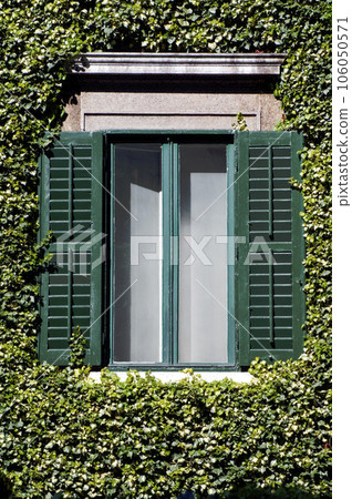 Window Window 106050571