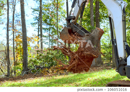 Remove roots, clear land for housing complex construction using skid steer tractor Remove roots, clear land for housing complex construction using skid steer tractor 106051016