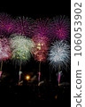 Fireworks that spread to the night sky 106053902