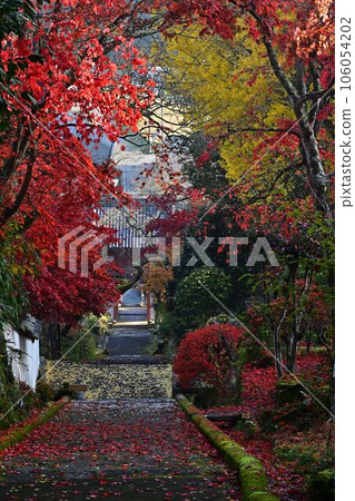 Joshoji temple in autumn 106054202