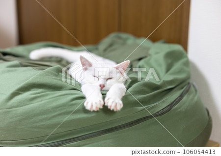 貓睡覺時手臂伸直 貓睡覺時手臂伸直 106054413
