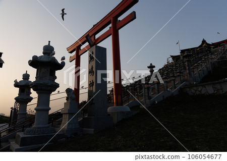 傍晚的蕪島神社鳥居(青森縣八戶市) 傍晚的蕪島神社鳥居(青森縣八戶市) 106054677