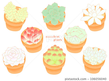 Mini potted illustration set of succulents 106056040