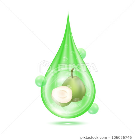 Guava inside water droplets green isolated on white background. Drop vitamins and collagen organic anti aging serum. Fruit acid product. For natural eco skin care cosmetic 106056746