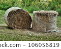 feed 106056819
