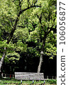  park 106056877