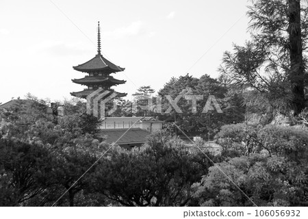 興福寺 興福寺 106056932