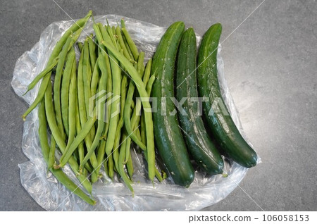 Chemical-free Vegetables Green Beans and Cucumber Chemical-free Vegetables Green Beans and Cucumber 106058153