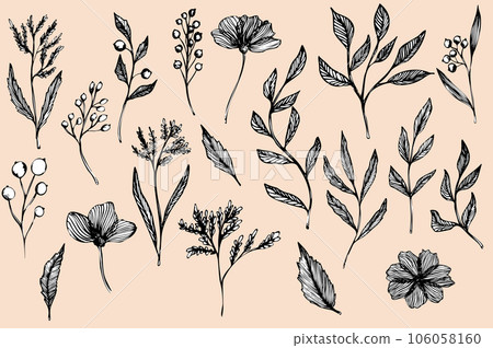 Botanical collection. Flowers, branches, and leaves. Set of vector hand drawn illustrations of outlines in doodle style. design elements for tattoos, cards, logos, prints 106058160