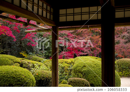Autumn's Shiseido 106058333