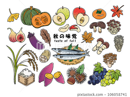 Autumn taste hand-drawn line drawing illustration set 106058741