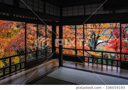 Ruriko-in Temple in autumn The lapis lazuli garden seen from the study Ruriko-in Temple in autumn The lapis lazuli garden seen from the study 106059193