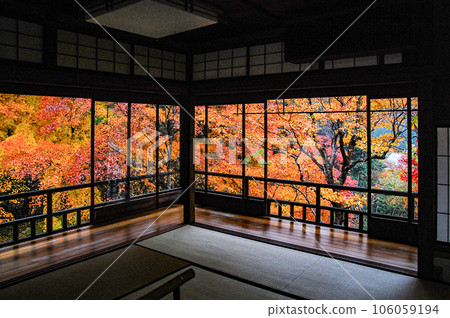 秋天的瑠璃光院 從書房看到的青金石庭園 秋天的瑠璃光院 從書房看到的青金石庭園 106059194