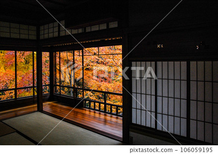 秋天的瑠璃光院 從書房看到的青金石庭園 秋天的瑠璃光院 從書房看到的青金石庭園 106059195