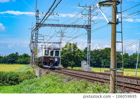 Kintetsu Sightseeing Train TSUDOI 106059695