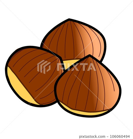Illustration of chestnut 106060494