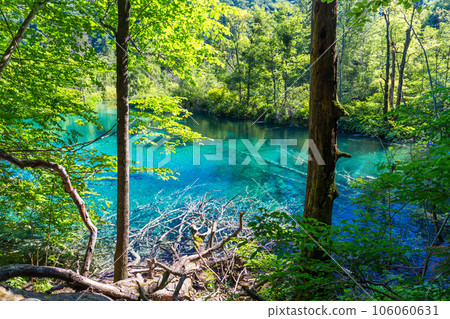 Plitvice Lakes National Park Plitvice Lakes National Park 106060631