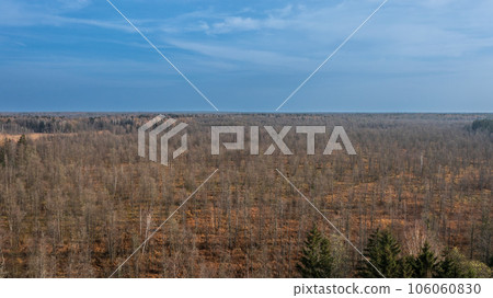 Polish part of Bialowieza Forest to east from Hajnowka aerial view 106060830