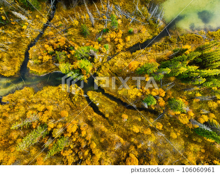 A drone view of the river in the woods. An aerial view of an autumn forest. 106060961