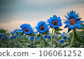 blue flower	 106061252